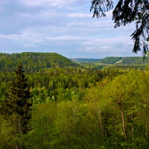 Gaujas senieleja Siguldā Gaujas senieleja Siguldā