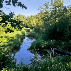 Durbes upe pie Cīravas mežaparka Durbes upe pie Cīravas mežaparka