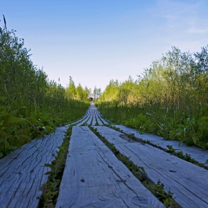 Koka dēļu laipu kas ved uz Lielauces ezeru Koka dēļu laipu kas ved uz Lielauces ezeru