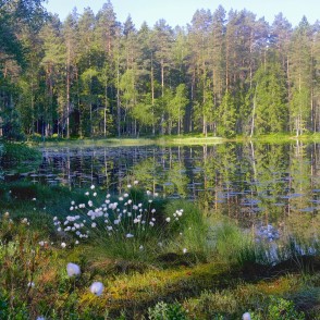 Lejas ezera ainava Lejas ezera ainava