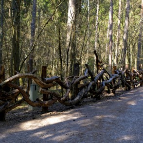Ceļš Pasaku mežā Ceļš Pasaku mežā