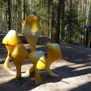 Sēņu meža veltes Sēņu meža veltes