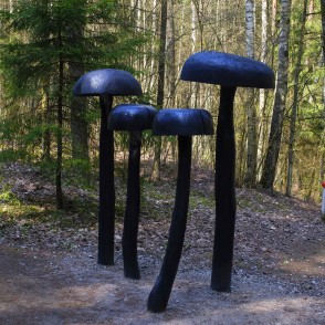 Tērvetes dabas parka Sēņu mežā Tērvetes dabas parka Sēņu mežā