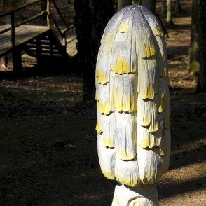 Sēņu paps Sēņu paps