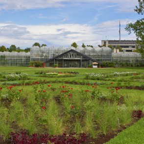 Conservatory in the National Botanic Garden Conservatory in the National Botanic Garden