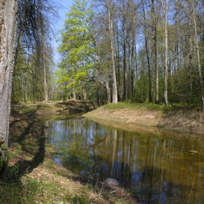 Elejas muižas parks un dīķis pavasarī Elejas muižas parks un dīķis pavasarī