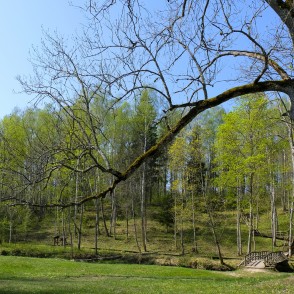 Skats uz tiltiņu Barona takas sākumā un Lielmātes avotiņu Skats uz tiltiņu Barona takas sākumā un Lielmātes avotiņu