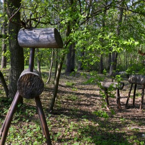 Langervaldes meža skulptūras Langervaldes meža skulptūras
