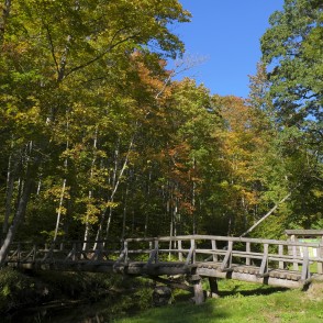 Tilts pār Vilci pie Lielmātes avotiņa Tilts pār Vilci pie Lielmātes avotiņa