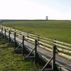 Liepājas ezermalas taka Liepājas ezermalas taka