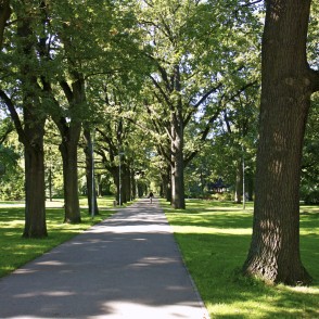 Aleja Kronvalda parkā Aleja Kronvalda parkā