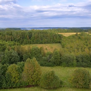 View from Siberija observation tower over forests and meadows under cloudy sky View from Siberija observation tower over forests and meadows under cloudy sky