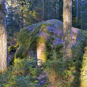 Lindes Meža akmens Lindes Meža akmens