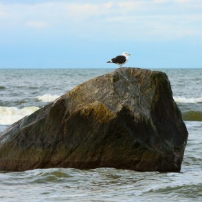Pāvilostas Lielais Jūrakmens Pāvilostas Lielais Jūrakmens
