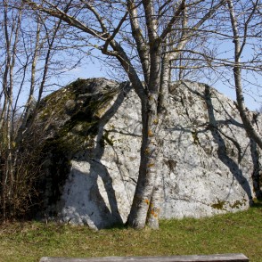 Vandzenes dižakmens (Tilgaļu dižakmens, Tilgaļu milzakmens, Krauju milzakmens) Vandzenes dižakmens (Tilgaļu dižakmens, Tilgaļu milzakmens, Krauju milzakmens)