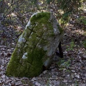 Abavmuižas kulta akmens Abavmuižas kulta akmens