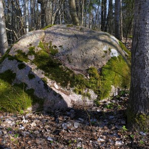 Akmens pie Kaņiera pilskalna takas Akmens pie Kaņiera pilskalna takas
