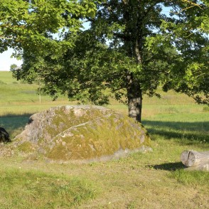 Daviņu lielais akmens Daviņu lielais akmens
