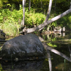 Vilces grava pie tiltiņa uz Barona taku Vilces grava pie tiltiņa uz Barona taku