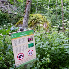 Zāģeru velnakmens Kandavas novadā Zāģeru velnakmens Kandavas novadā