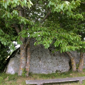 Tilgaļu dižakmens Tilgaļu dižakmens