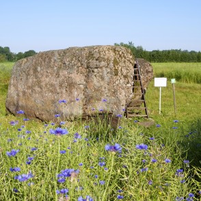 Vaiķu dižakmens Vaiķu dižakmens