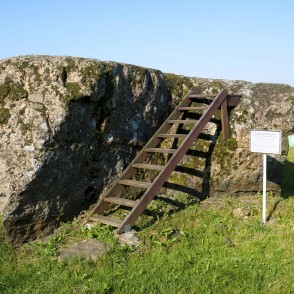 Vaiķu akmens (Pētera I, Napoleona akmens) Vaiķu akmens (Pētera I, Napoleona akmens)