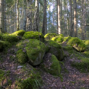 Kaltenes Kalvas Kaltenes Kalvas