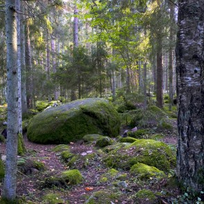 Akmeņi, dabas taka Kaltenes kalvas Akmeņi, dabas taka Kaltenes kalvas