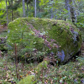 Silkalēju Zviedru akmens Silkalēju Zviedru akmens