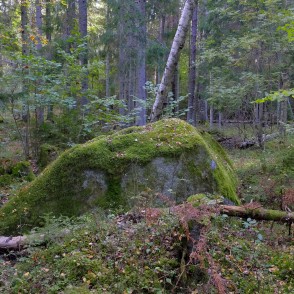 Silkalēju Zviedru akmens Silkalēju Zviedru akmens