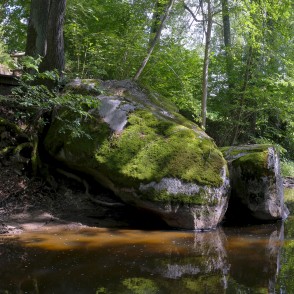 Vizlas dižakmens Vizlas dižakmens
