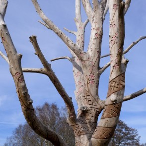Dižgoba Uzvaras parkā Dižgoba Uzvaras parkā