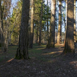 Lapegļu audze Lapegļu audze