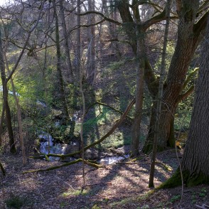 Grava ar strautiņu Grava ar strautiņu