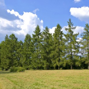 Lapegles Igates muižā Lapegles Igates muižā