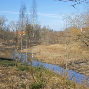 Misiņkalna dabas parks pavasarī Misiņkalna dabas parks pavasarī