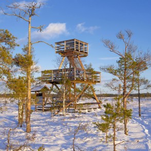 Vasenieku purva putnu vērošanas tornis ziemā Vasenieku purva putnu vērošanas tornis ziemā