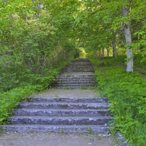 Misiņkalna pastaigu takas Misiņkalna pastaigu takas