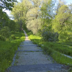 Misiņkalna pastaigu takas Misiņkalna pastaigu takas
