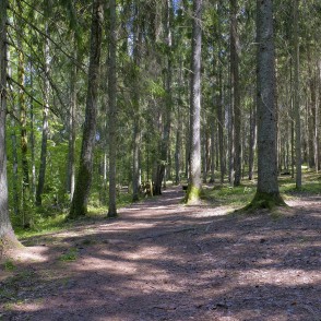 Mednieku spēka taka Inčukalnā Mednieku spēka taka Inčukalnā