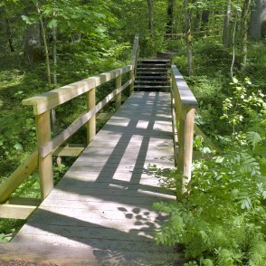 Mednieku spēka taka, Inčukalns Mednieku spēka taka, Inčukalns