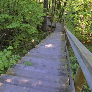 Kāpnes mednieku spēka takā Inčukalnā Kāpnes mednieku spēka takā Inčukalnā