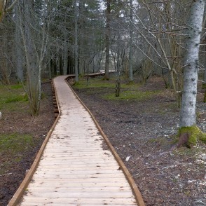 Čužu purva dabas taka Čužu purva dabas taka