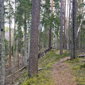 Dabas taka "Rīvas loki" gar Rīvas upes stāvo krastu Dabas taka "Rīvas loki" gar Rīvas upes stāvo krastu
