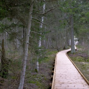 Čužu purva taka Kandavā Čužu purva taka Kandavā