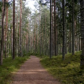 Viesatas upesloku dabas taka Viesatas upesloku dabas taka