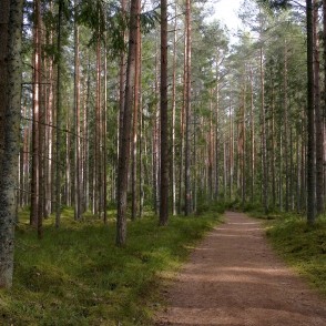 Viesatas upesloku taka Viesatas upesloku taka