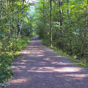 Mangaļsalas pastaigu taka Mangaļsalas pastaigu taka