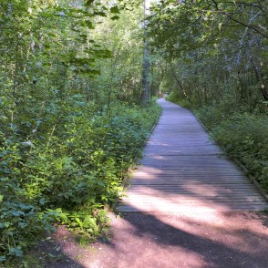 Mangaļsalas pastaigu taka Mangaļsalas pastaigu taka